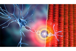 Neuropathy Relief Miami.Understanding The Medications For Peripheral Neuropathy. Unfortunately these medications do not rehabilitate the damaged blood vessels or damaged peripheral nerves that are causing the neuropathy symptoms (Nerve Cell Death).